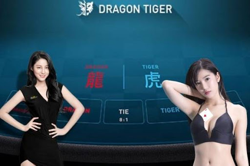 Rahasia Memenangkan Dragon Tiger Online dengan Mudah